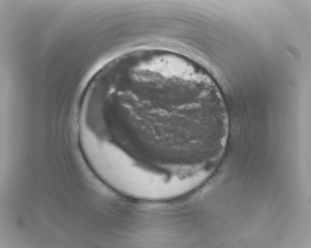 X0000115501522200911271359