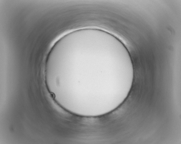 X0000115501526200911271359