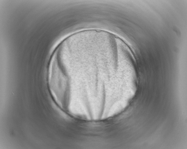 X0000115501527200911271359
