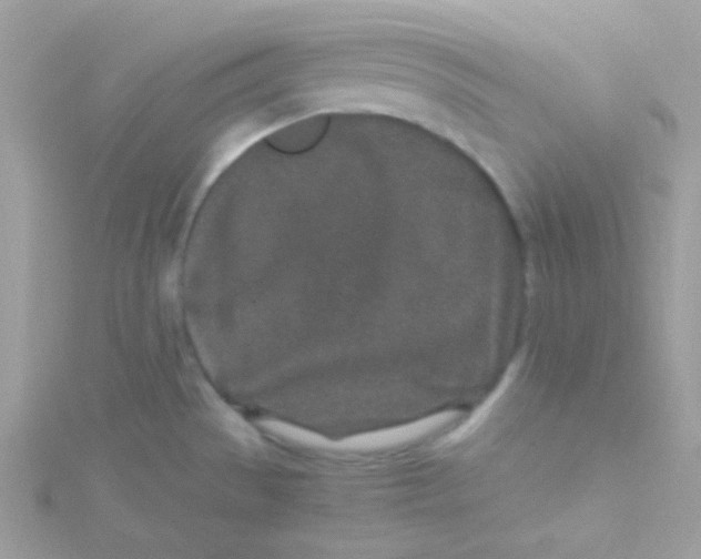 X0000115501529200911271359