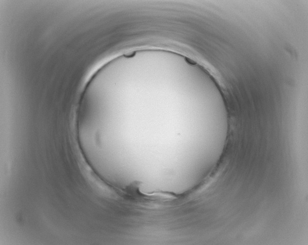 X0000115501530200911271359