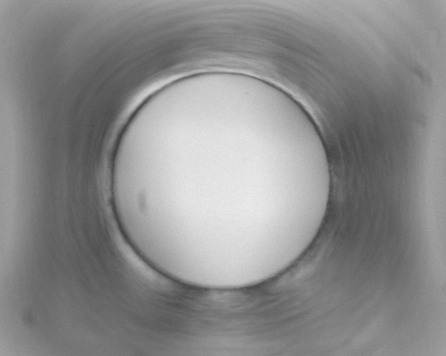 X0000115501531200911271359