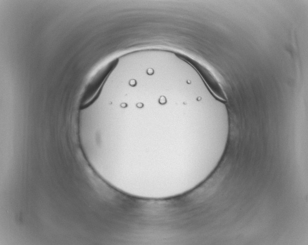 X0000115501534200911271359