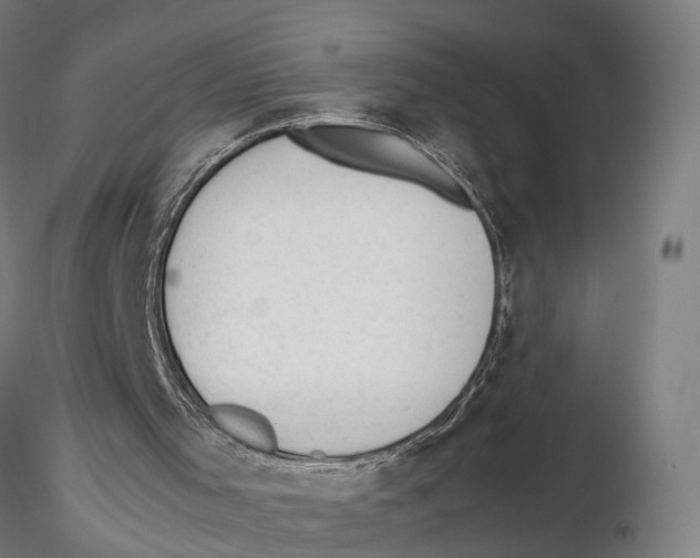 X0000115500001200912041049
