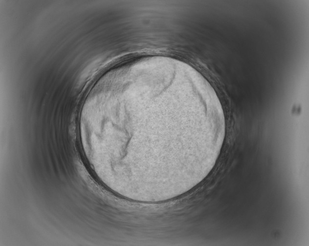 X0000115500002200912041049
