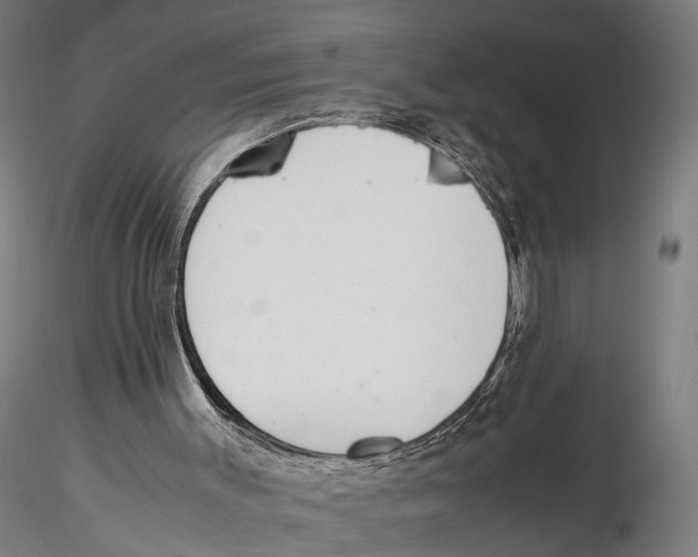 X0000115500003200912041049