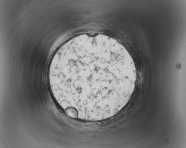 X0000115500004200912041049