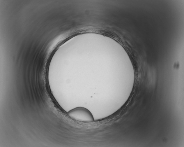 X0000115500006200912041048