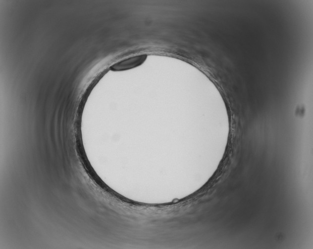 X0000115500007200912041048