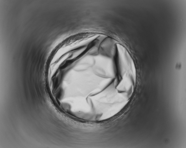 X0000115500008200912041048