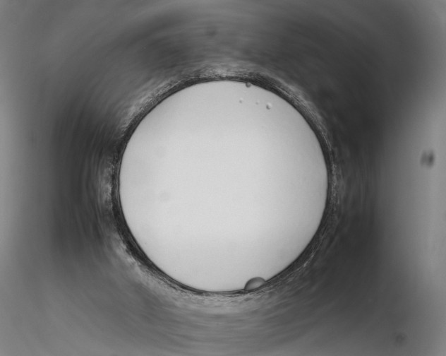X0000115500010200912041048