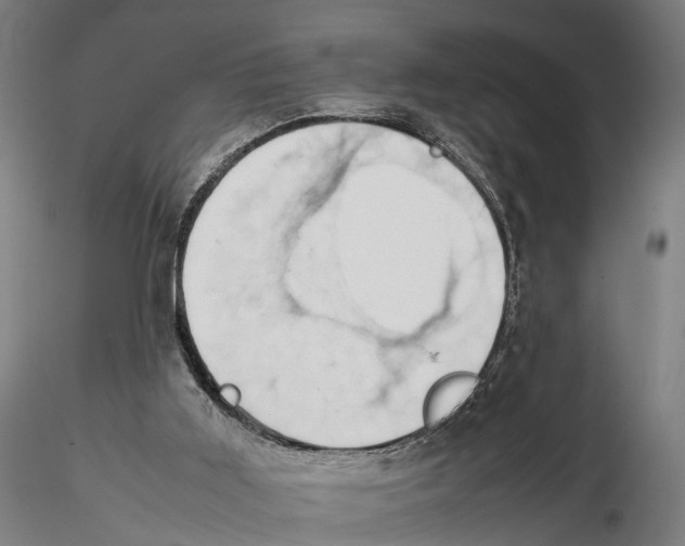 X0000115500011200912041048