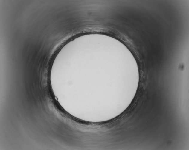 X0000115500012200912041048