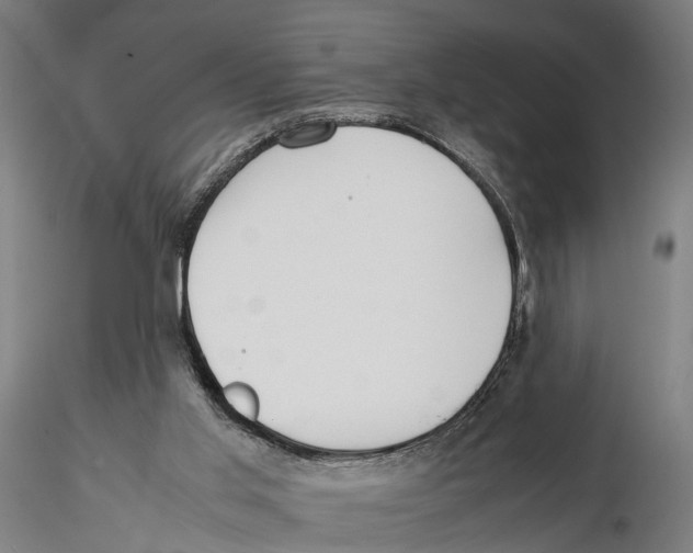 X0000115500013200912041048