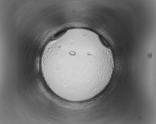 X0000115500014200912041048