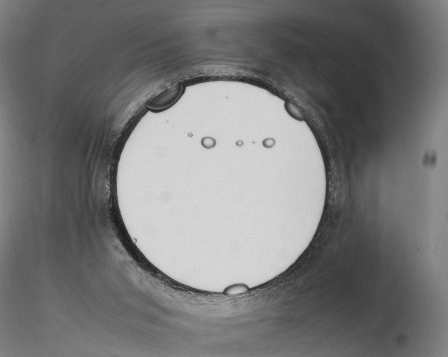 X0000115500015200912041048