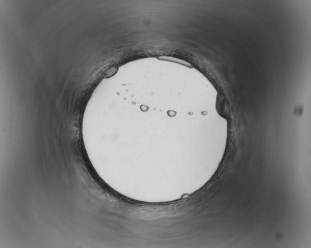 X0000115500017200912041048