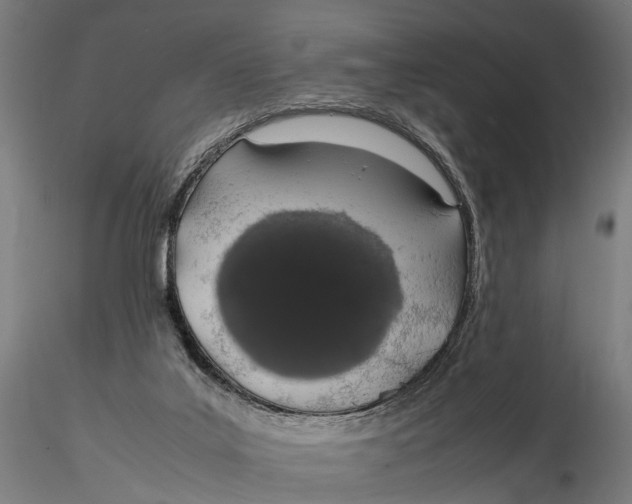X0000115500019200912041048