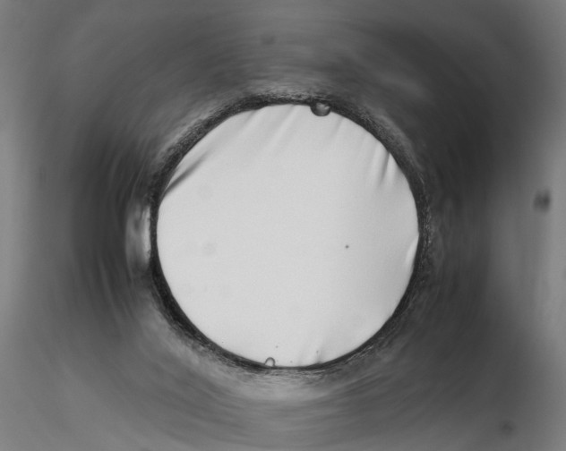 X0000115500020200912041048
