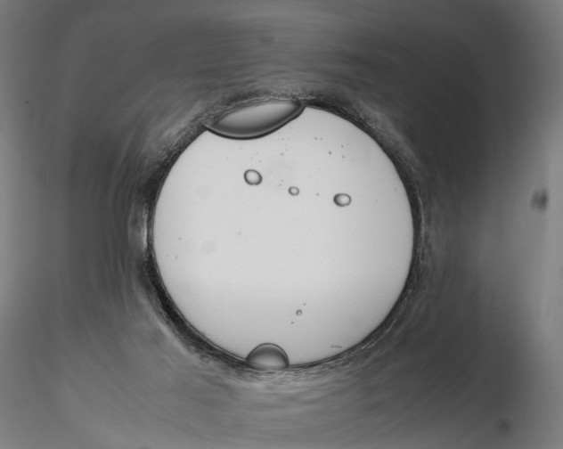 X0000115500021200912041048