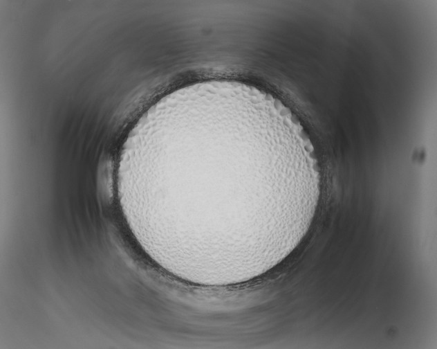 X0000115500022200912041048