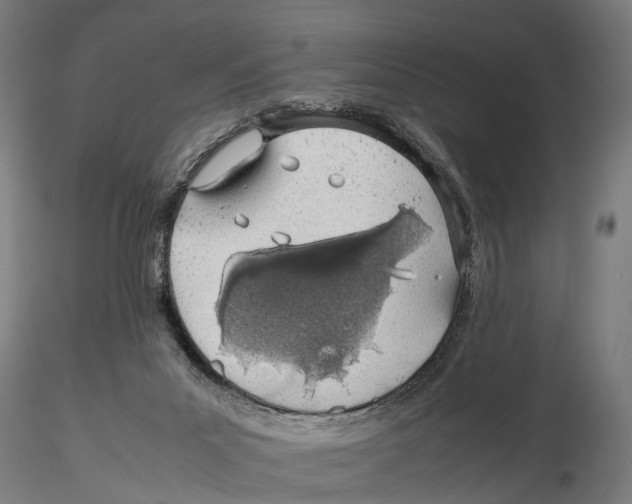 X0000115500023200912041048