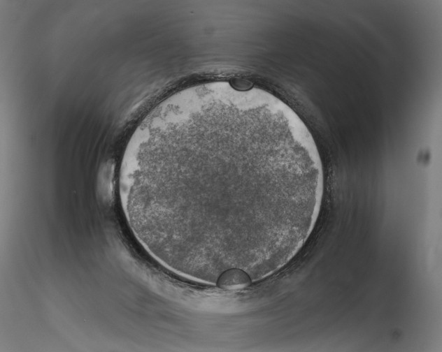X0000115500024200912041048