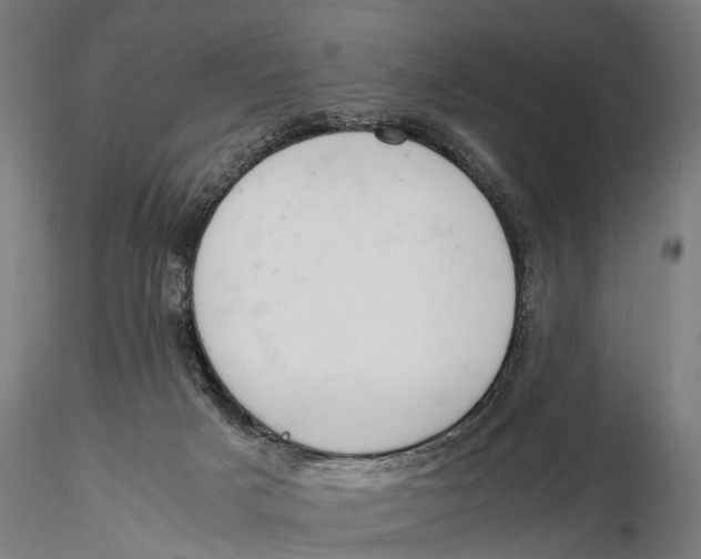 X0000115500025200912041048