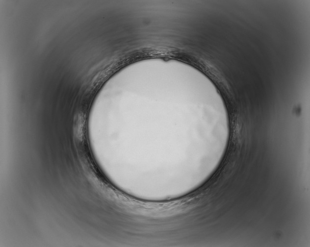 X0000115500026200912041048