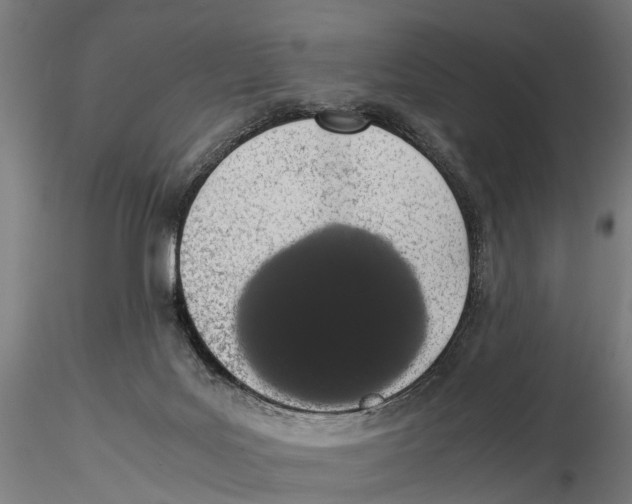 X0000115500027200912041048