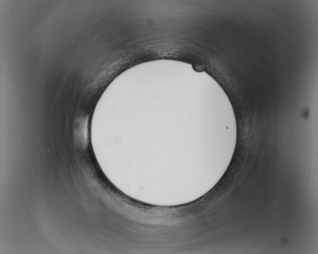 X0000115500028200912041048