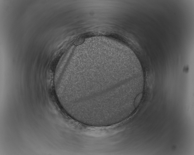 X0000115500029200912041048