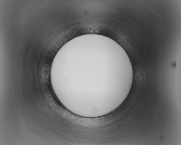 X0000115500030200912041048