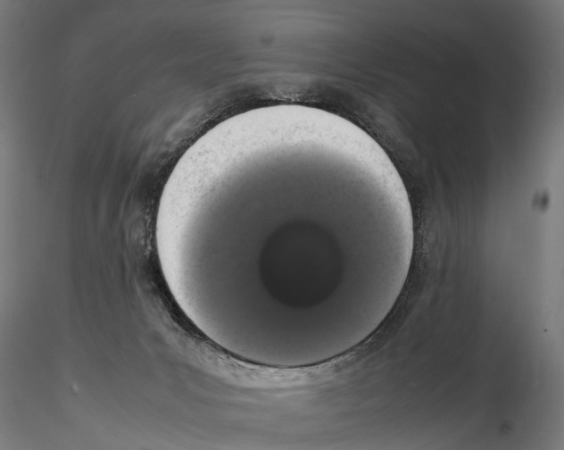 X0000115500031200912041048