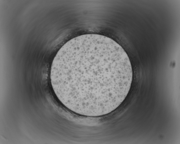 X0000115500032200912041048