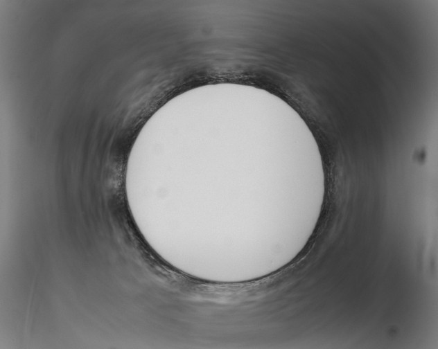 X0000115500033200912041048