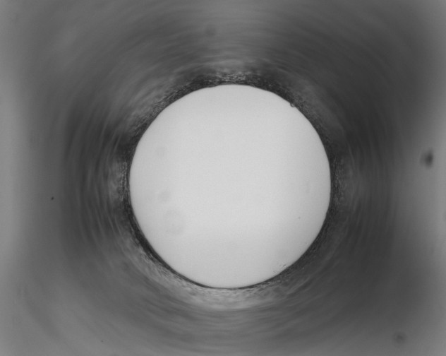 X0000115500034200912041048