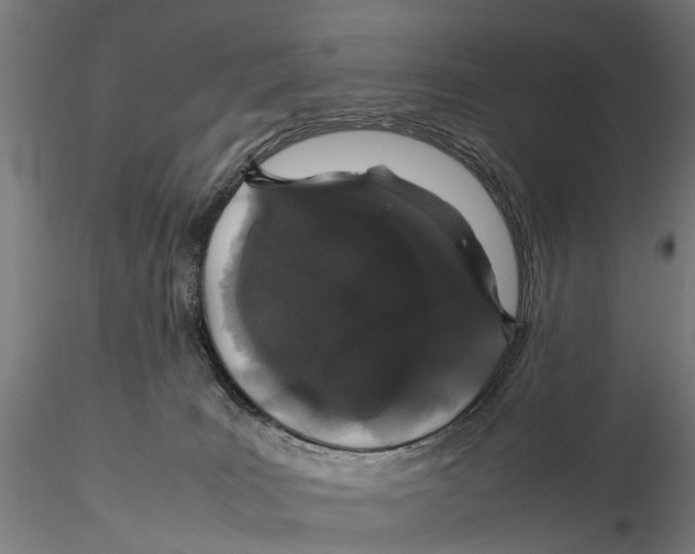 X0000115500035200912041048