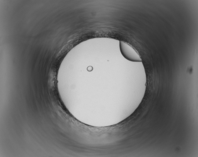 X0000115500038200912041048