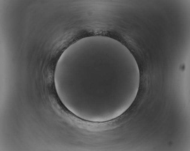 X0000115500039200912041048