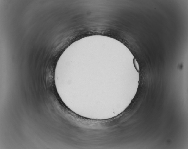 X0000115500040200912041048