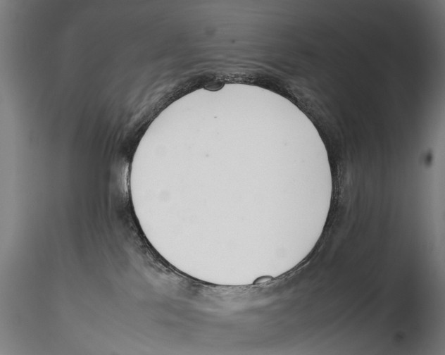 X0000115500041200912041048