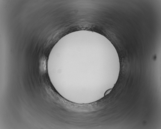 X0000115500042200912041048