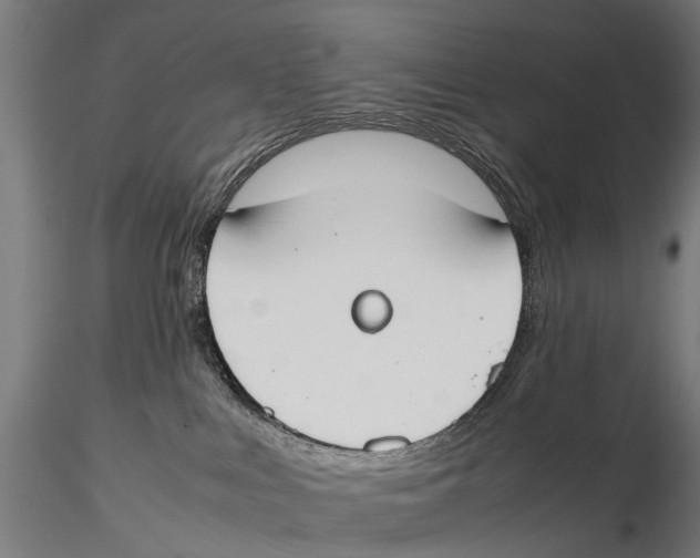 X0000115500043200912041048