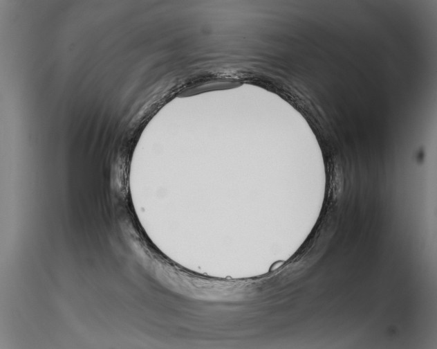 X0000115500044200912041048