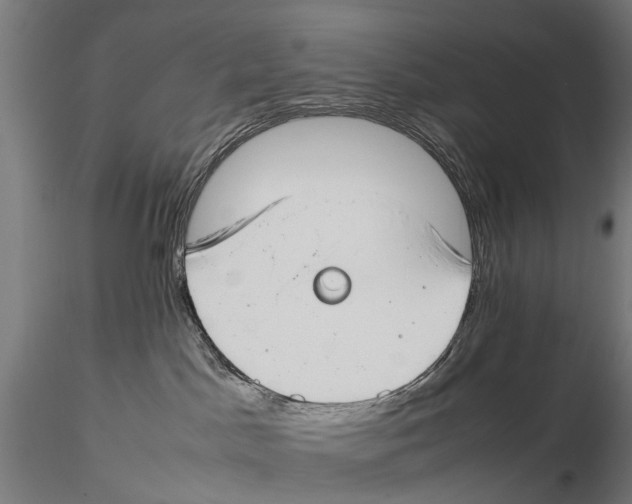 X0000115500045200912041048