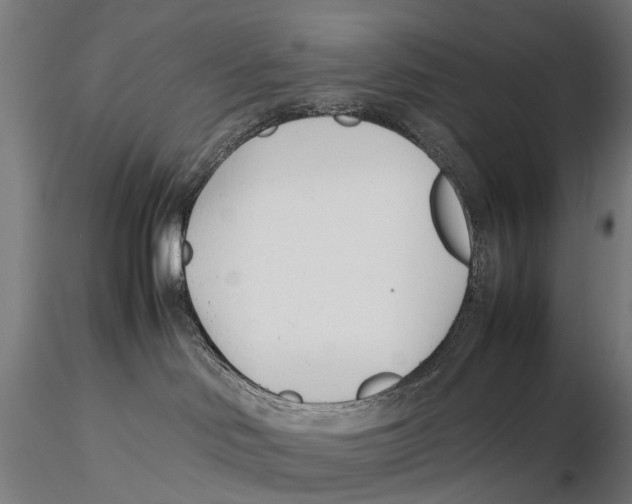 X0000115500046200912041048