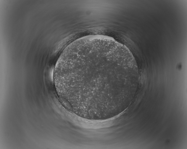 X0000115500047200912041048