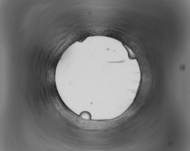 X0000115500048200912041048