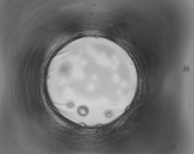 X0000115500049200912041047